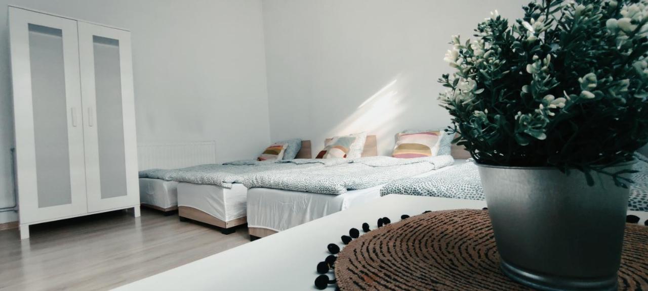 Hostel Tanie Spanie Przy Malcie - Zameldowanie Bezobslugowe - *